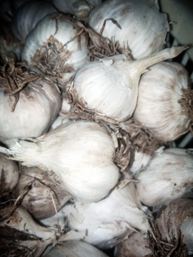 garlic for immunity

Covid variant, vegan diet, ,gluten free diet, food for vegan diet, Covid 19 diet plan, Immunity boosters, vegan pasta, Omicron variant south africa, how to recover from covid, 