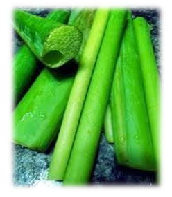 Covid variant, vegan diet, ,gluten free diet, food for vegan diet, Covid 19 diet plan, Immunity boosters, vegan pasta, Omicron variant south africa, how to recover from covid, 