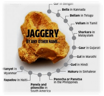 Covid variant, vegan diet, ,gluten free diet, food for vegan diet, Covid 19 diet plan, Immunity boosters, vegan pasta, Omicron variant south africa, how to recover from covid, 