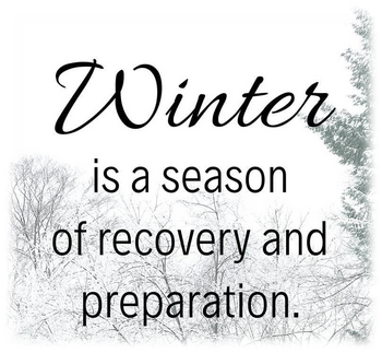 winter #winter snow cold