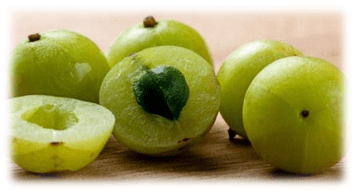 Covid variant, vegan diet, ,gluten free diet, food for vegan diet, Covid 19 diet plan, Immunity boosters, vegan pasta, Omicron variant south africa, how to recover from covid, 