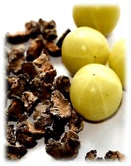 Covid variant, vegan diet, ,gluten free diet, food for vegan diet, Covid 19 diet plan, Immunity boosters, vegan pasta, Omicron variant south africa, how to recover from covid, 